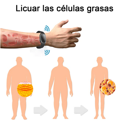 🐮Pulsera ultrasónica de desintoxicación y reducción de grasa GFOUK™ (🔥70 % de descuento el último día)