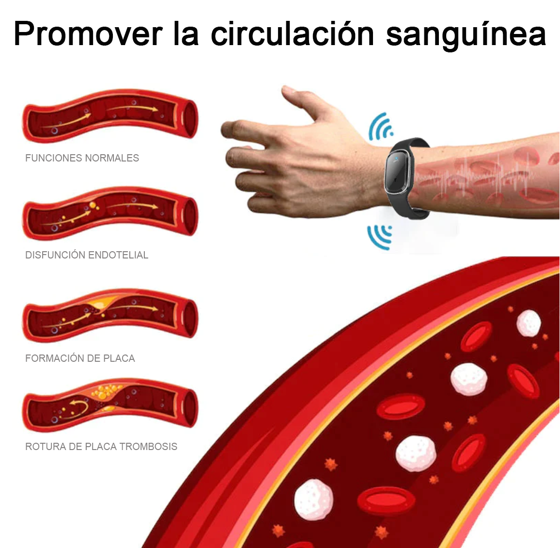 🐮Pulsera ultrasónica de desintoxicación y reducción de grasa GFOUK™ (🔥70 % de descuento el último día)