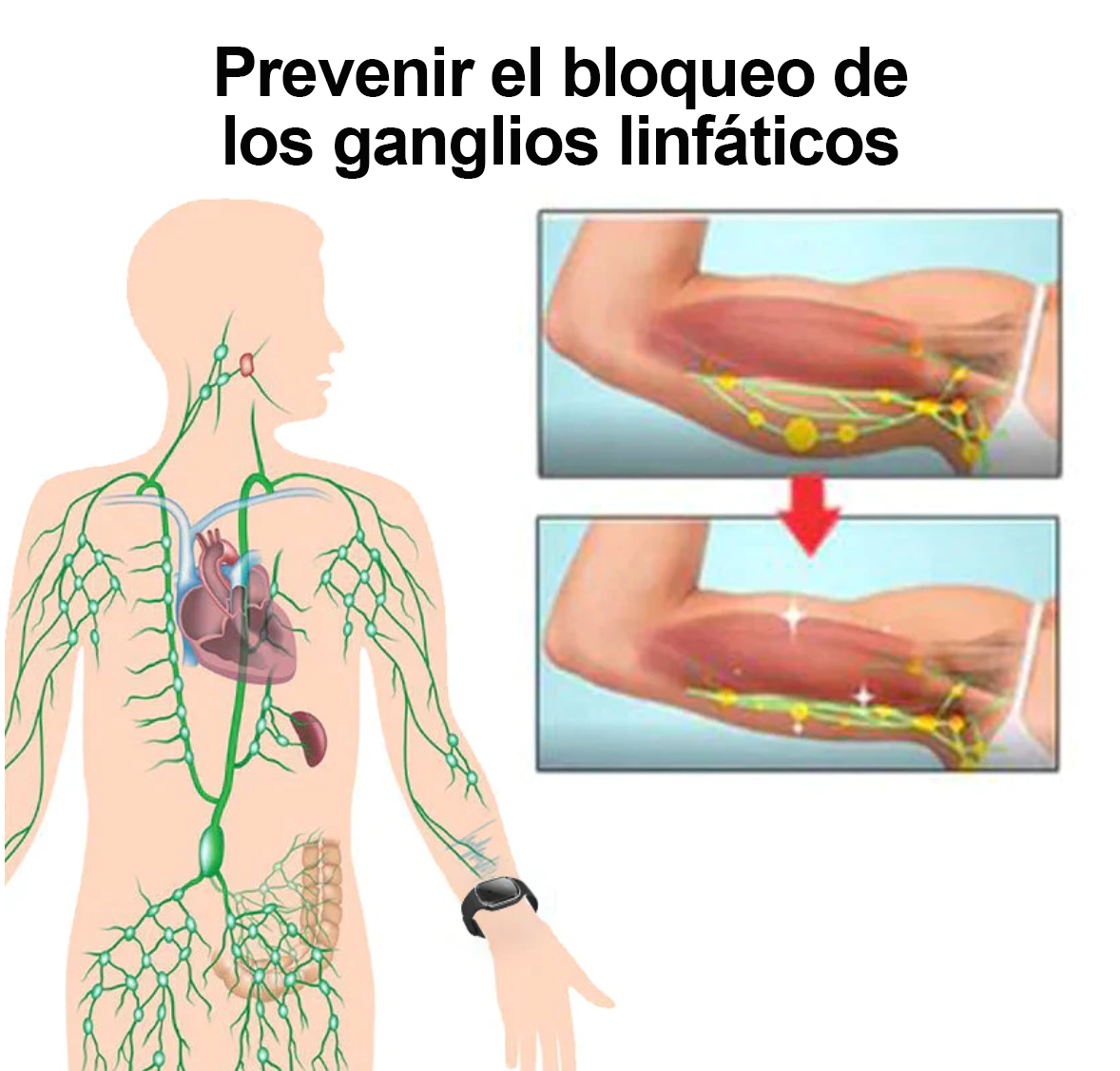 🐮Pulsera ultrasónica de desintoxicación y reducción de grasa GFOUK™ (🔥70 % de descuento el último día)